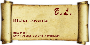 Blaha Levente névjegykártya