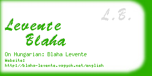 levente blaha business card